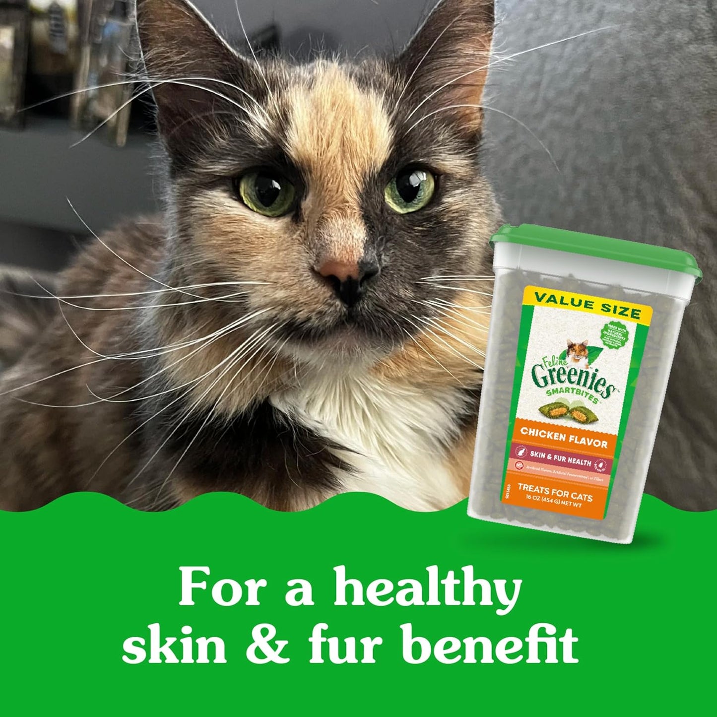 Feline SMARTBITES Healthy Skin and Fur, Chicken and Salmon Flavors, All Bag Sizes